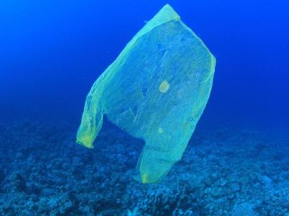 Can you recycle plastic bags?