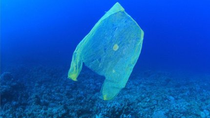 Can you recycle plastic bags?