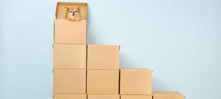 Top moving tips: cardboard boxes for moving