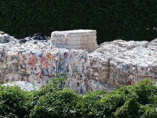 Recycling Paper: The Facts