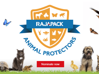 There’s still time to nominate an Animal Protector