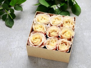 Floristry Packaging – New Products for the Range!