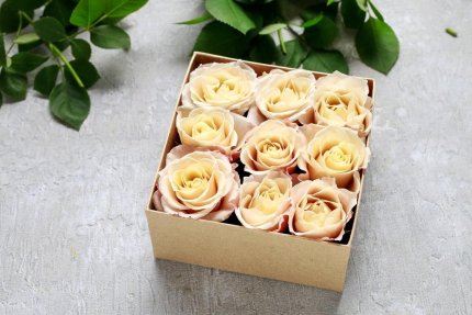 Floristry Packaging – New Products for the Range!